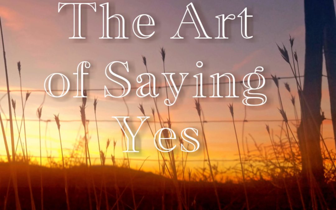 The Art of Saying Yes