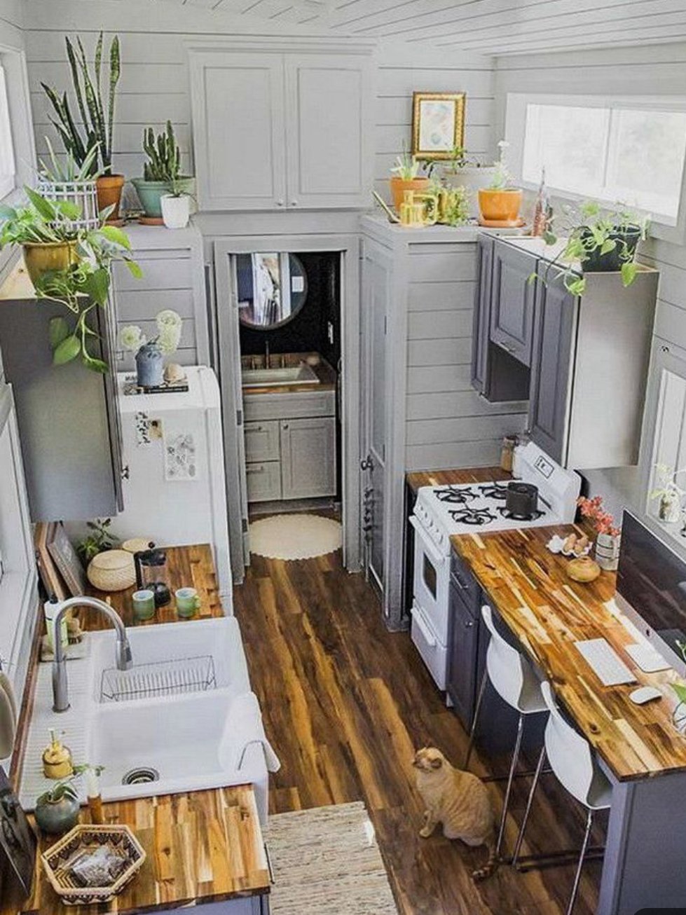 Accent counters in the kitchen