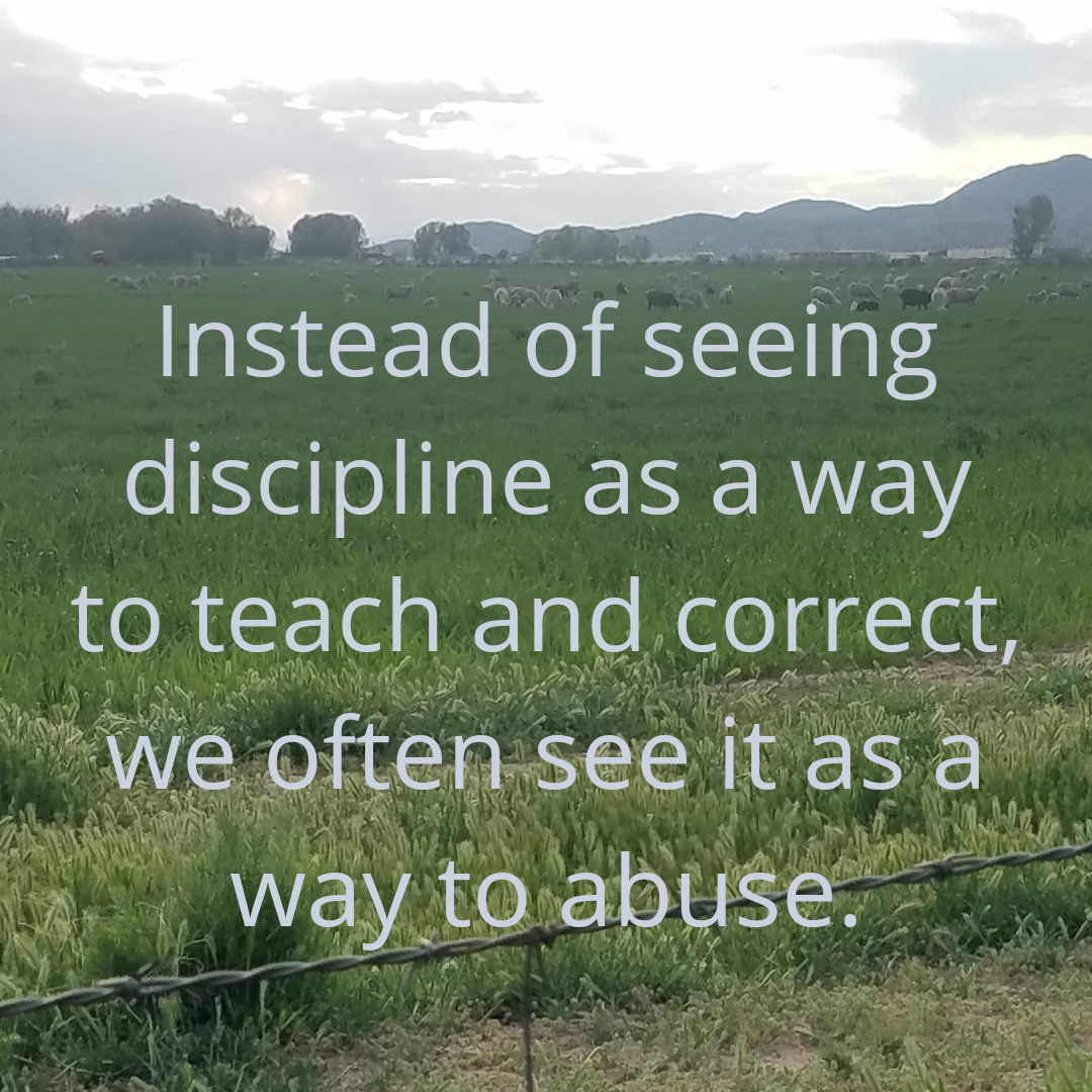 Instead of seeing discipline as a way to teach and correct, we often see it as a way to abuse.