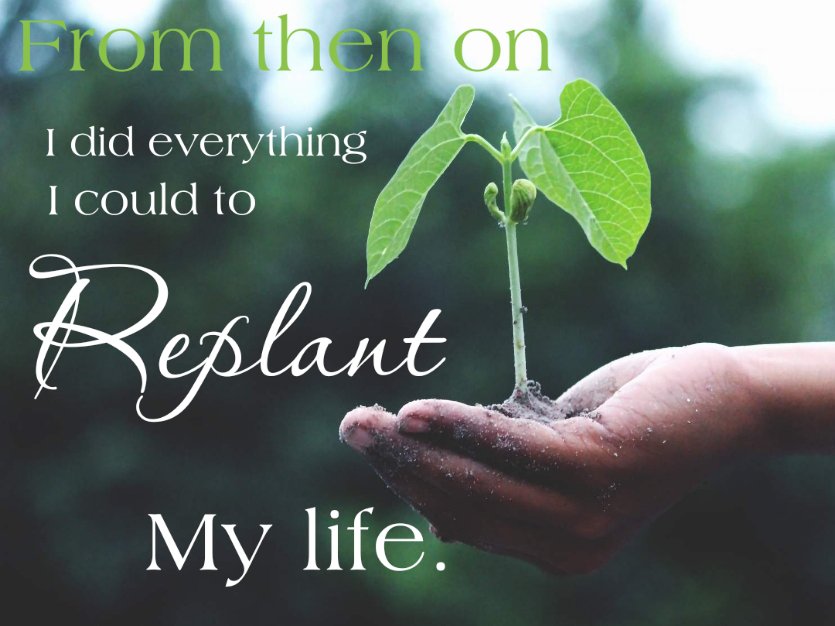 From then on I did everything I could to replant my life.