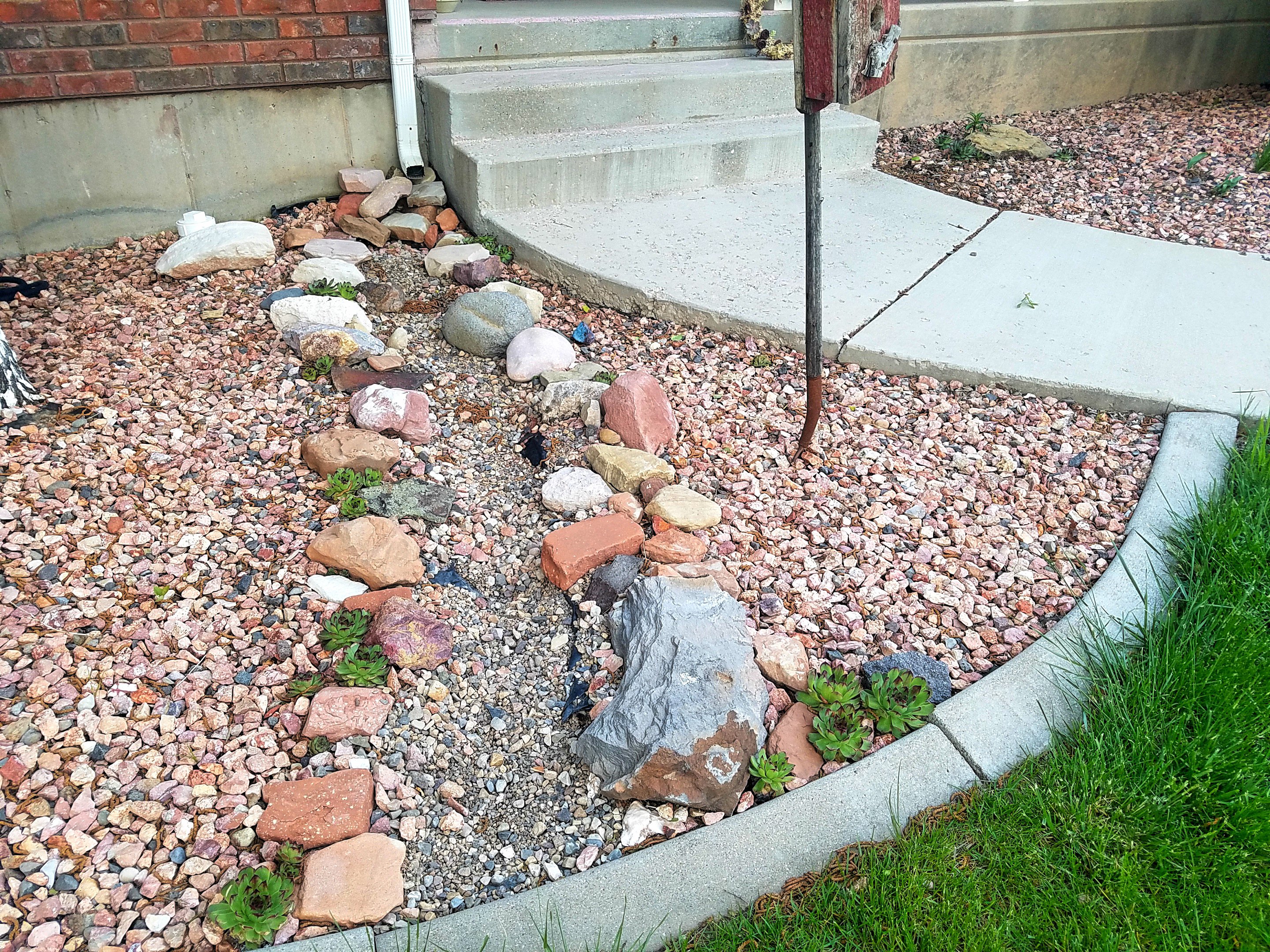 How to select plants for a dry creek bed